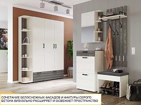 Шкаф для одежды с полками и штангой Денвер 400.02