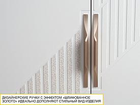 Шкаф для одежды с полками и штангой Монако 403.02