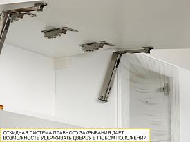 Кухонный гарнитур с витриной Монако 106 218
