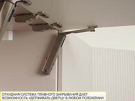 Кухонный гарнитур с витриной Флоренция 107 239