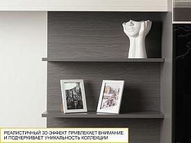 Панель с полками Графит 604.25