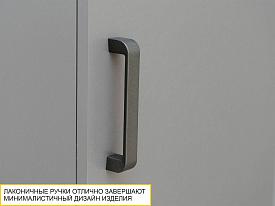 Шкаф для одежды со штангой (лев/прав) Денвер 401.01